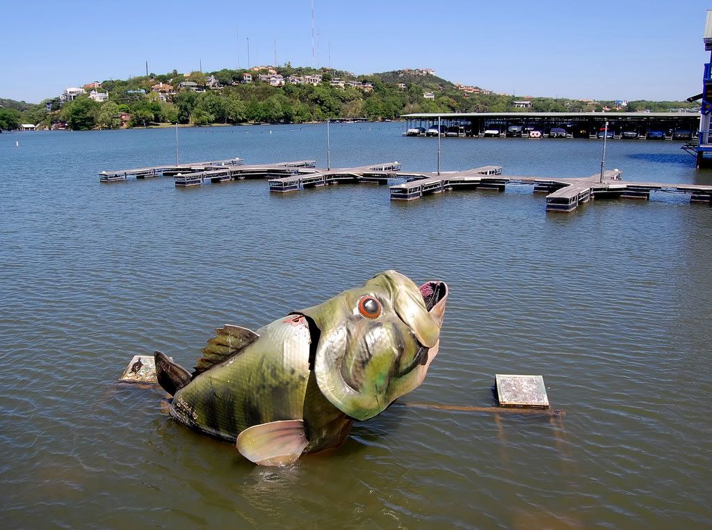 Springtime in Austin, Texaspart 2 (95 photos) SkyscraperPage Forum